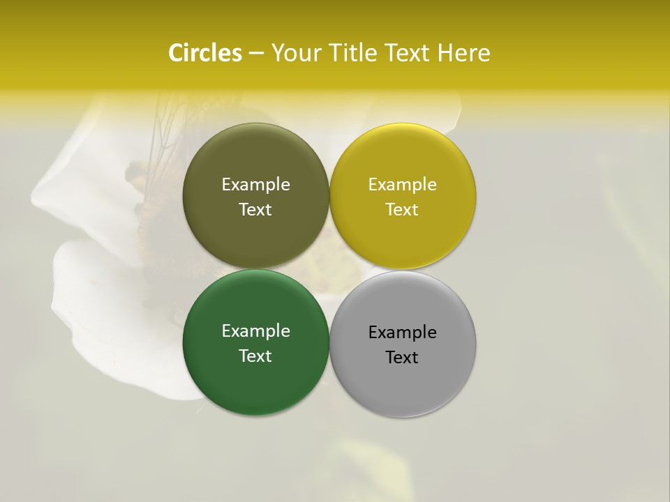 Strawberry Pollen PowerPoint Template