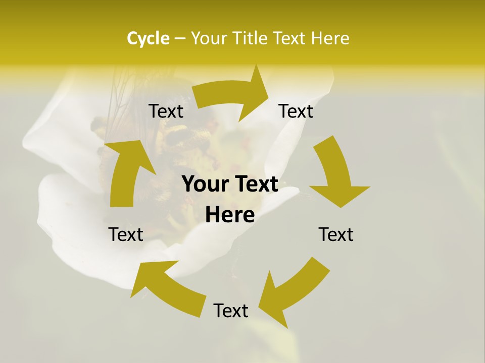 Strawberry Pollen PowerPoint Template