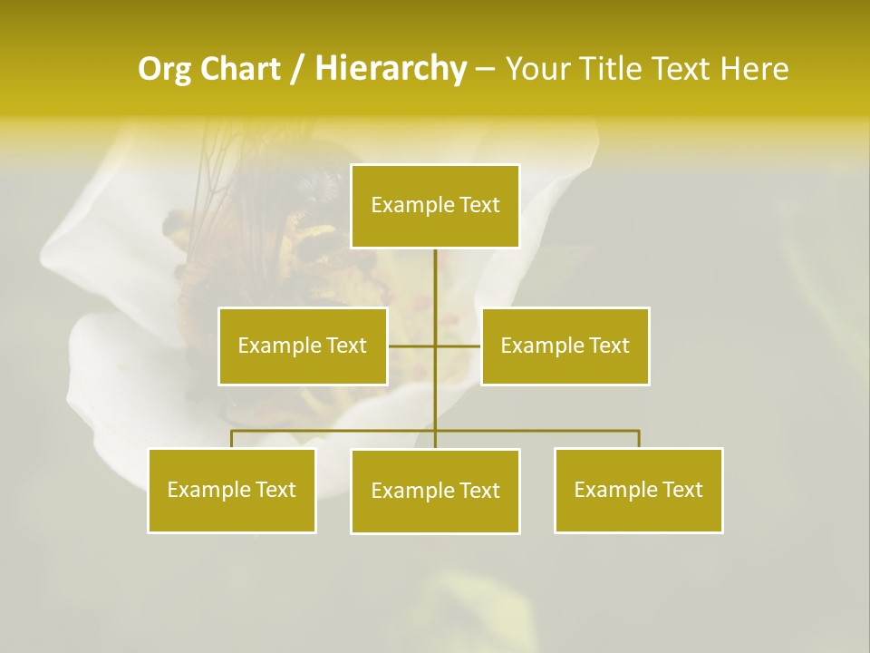 Strawberry Pollen PowerPoint Template
