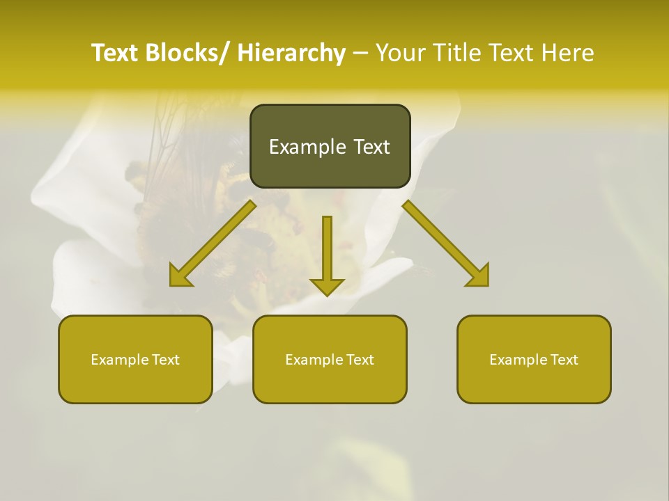 Strawberry Pollen PowerPoint Template