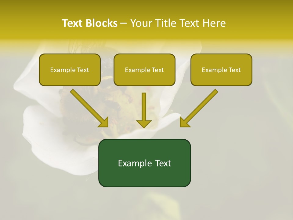 Strawberry Pollen PowerPoint Template