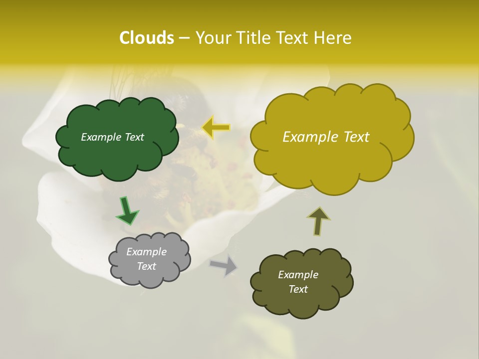 Strawberry Pollen PowerPoint Template