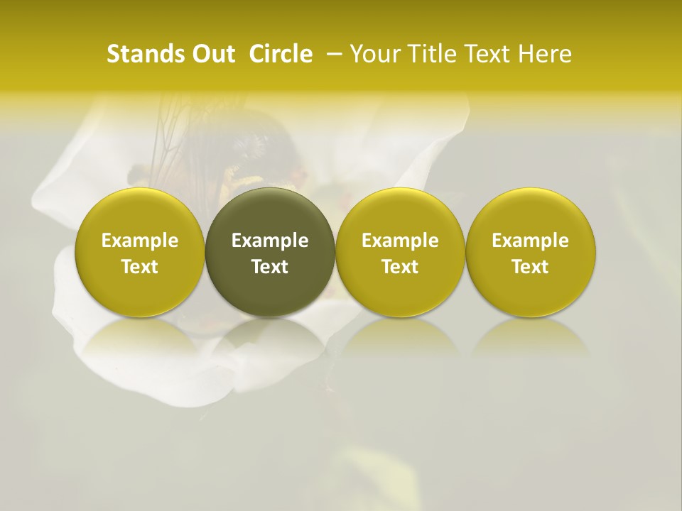 Strawberry Pollen PowerPoint Template