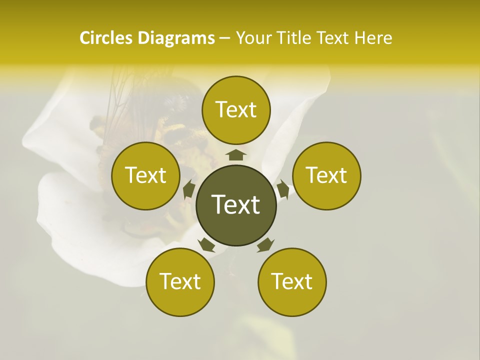 Strawberry Pollen PowerPoint Template