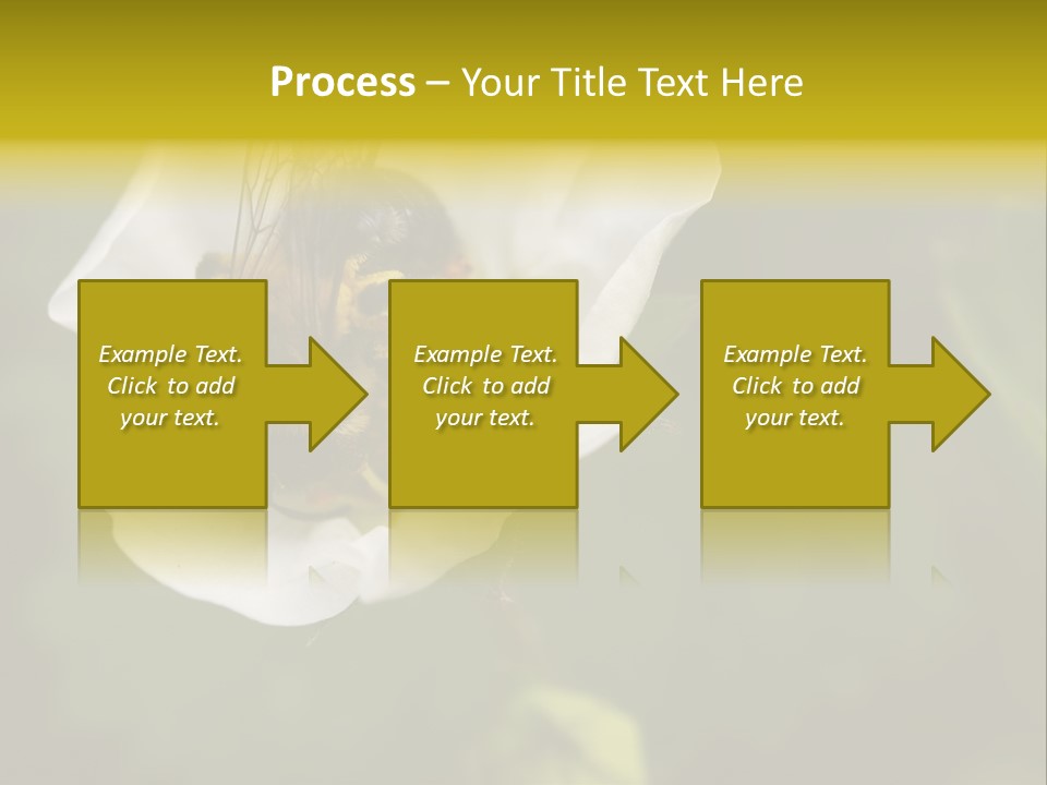 Strawberry Pollen PowerPoint Template
