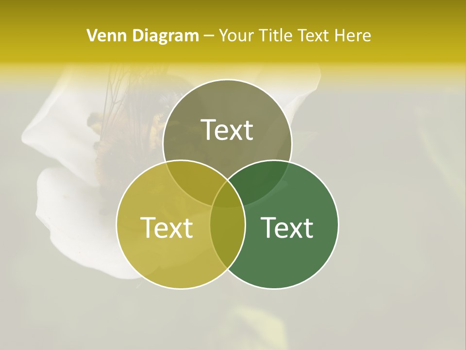 Strawberry Pollen PowerPoint Template