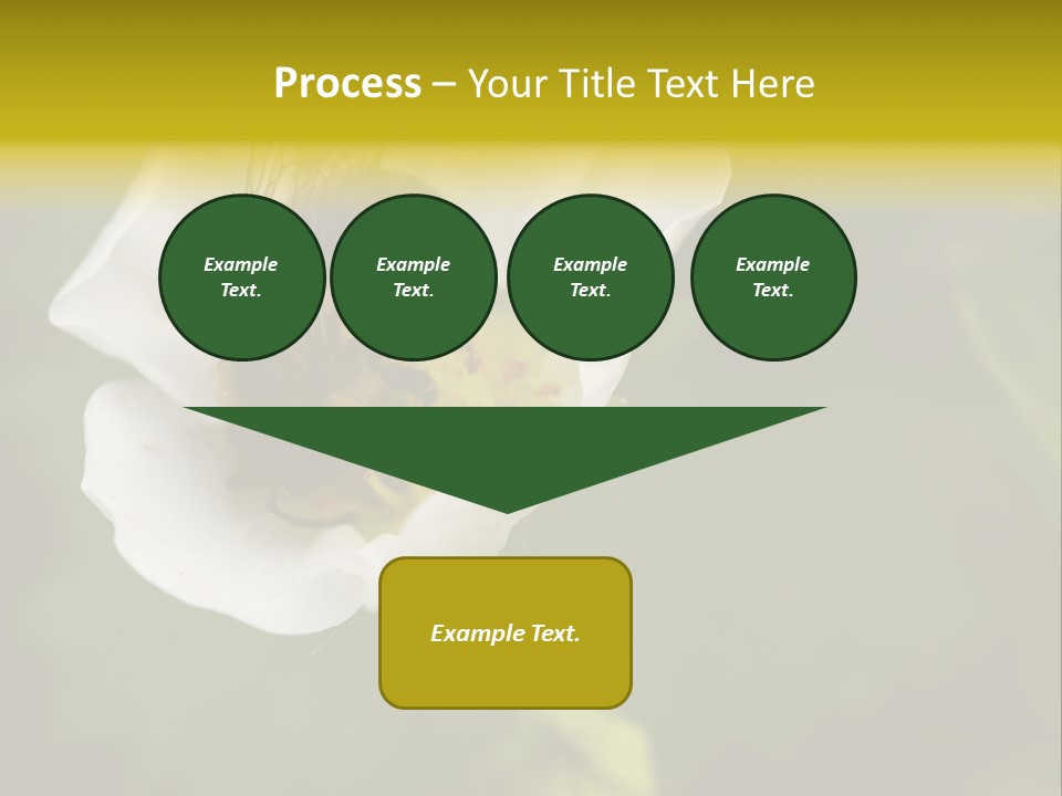 Strawberry Pollen PowerPoint Template