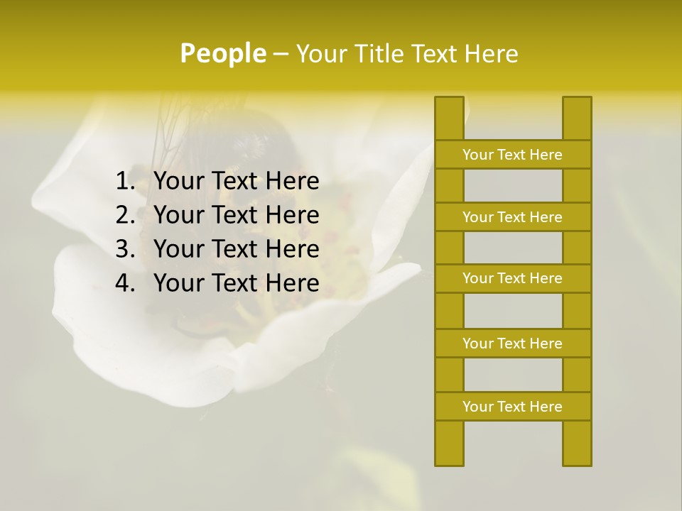 Strawberry Pollen PowerPoint Template