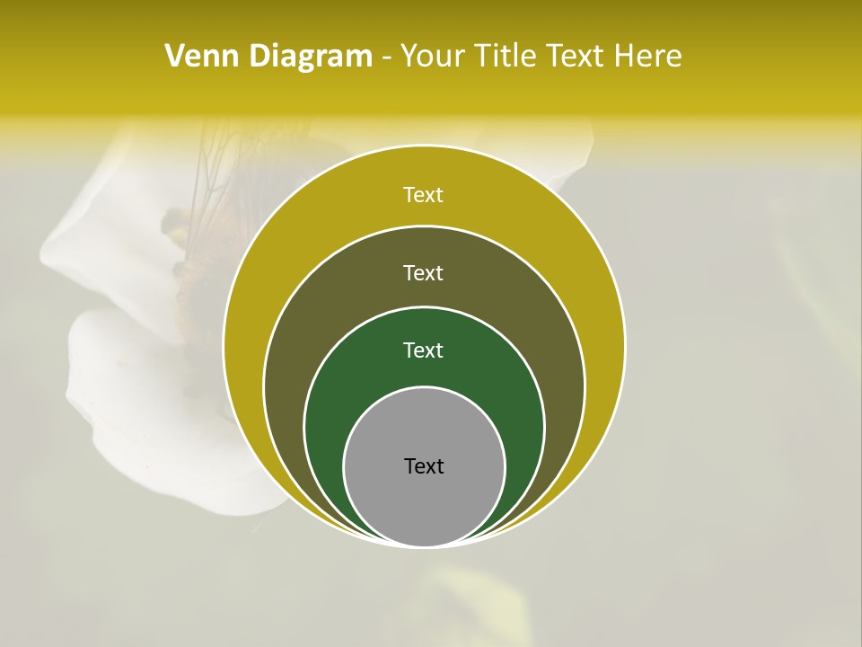 Strawberry Pollen PowerPoint Template