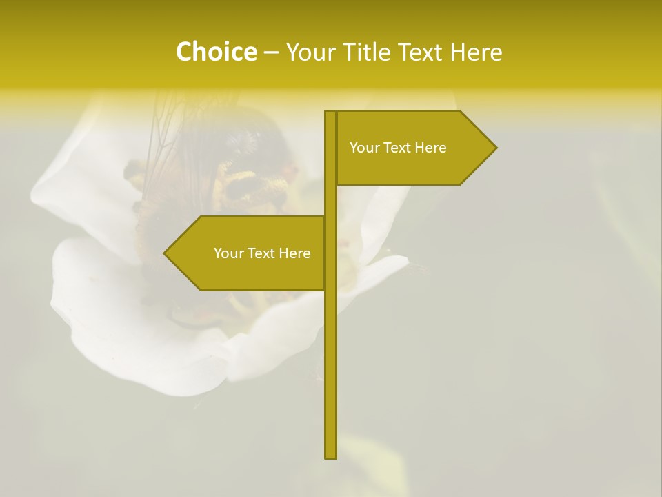 Strawberry Pollen PowerPoint Template