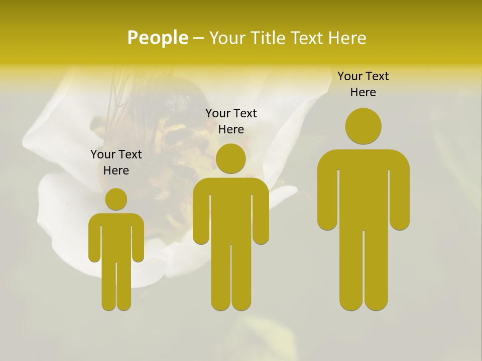 Strawberry Pollen PowerPoint Template