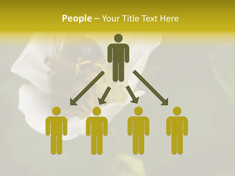 Strawberry Pollen PowerPoint Template