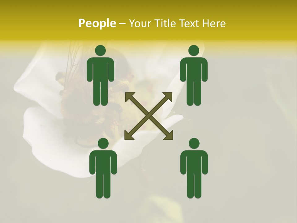 Strawberry Pollen PowerPoint Template