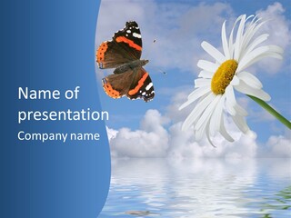 Chamomile And Butterfly On A Background Of The Cloudy Sky. PowerPoint Template
