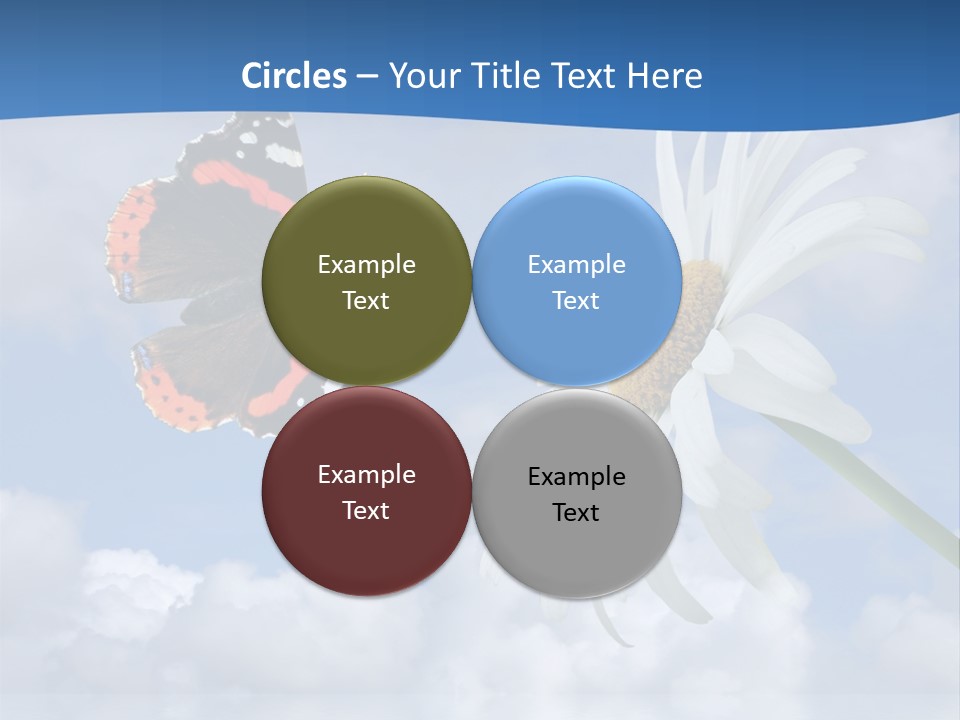 Chamomile And Butterfly On A Background Of The Cloudy Sky. PowerPoint Template