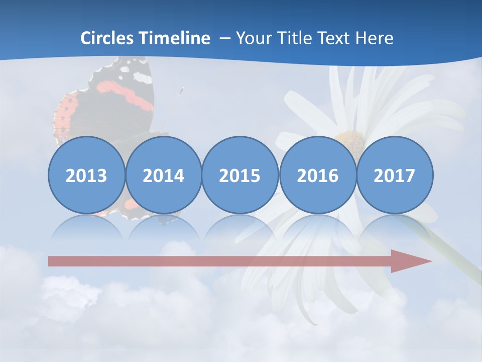 Chamomile And Butterfly On A Background Of The Cloudy Sky. PowerPoint Template