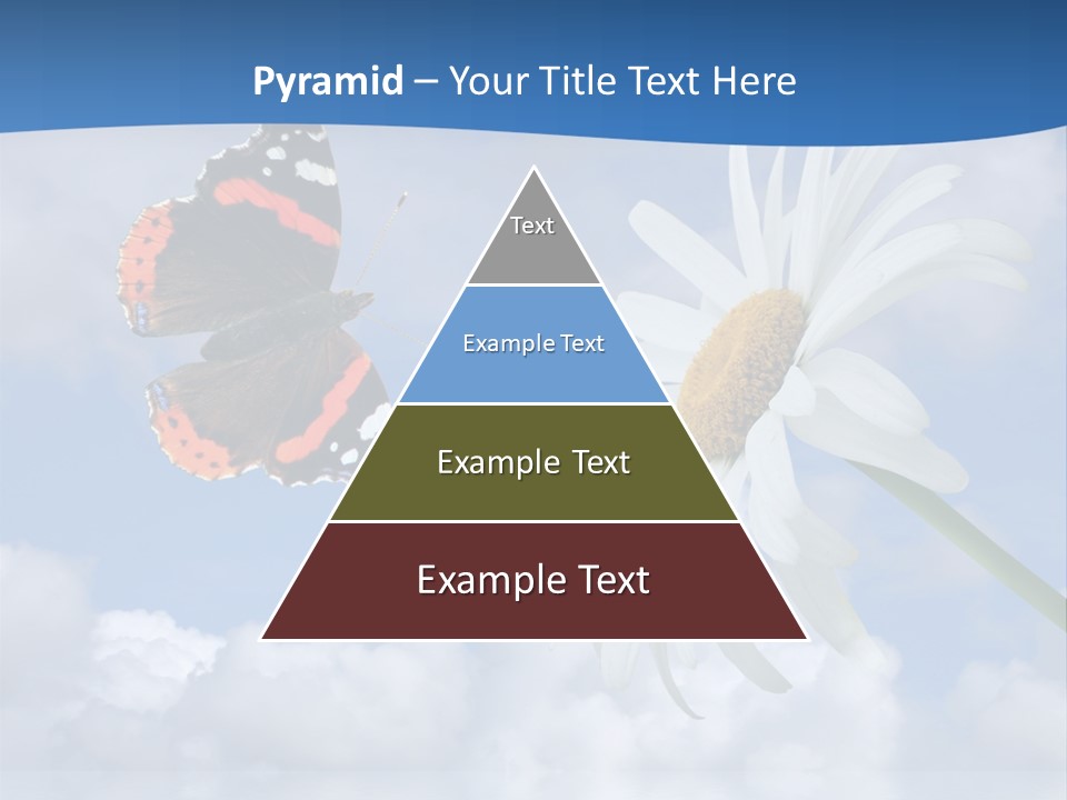 Chamomile And Butterfly On A Background Of The Cloudy Sky. PowerPoint Template