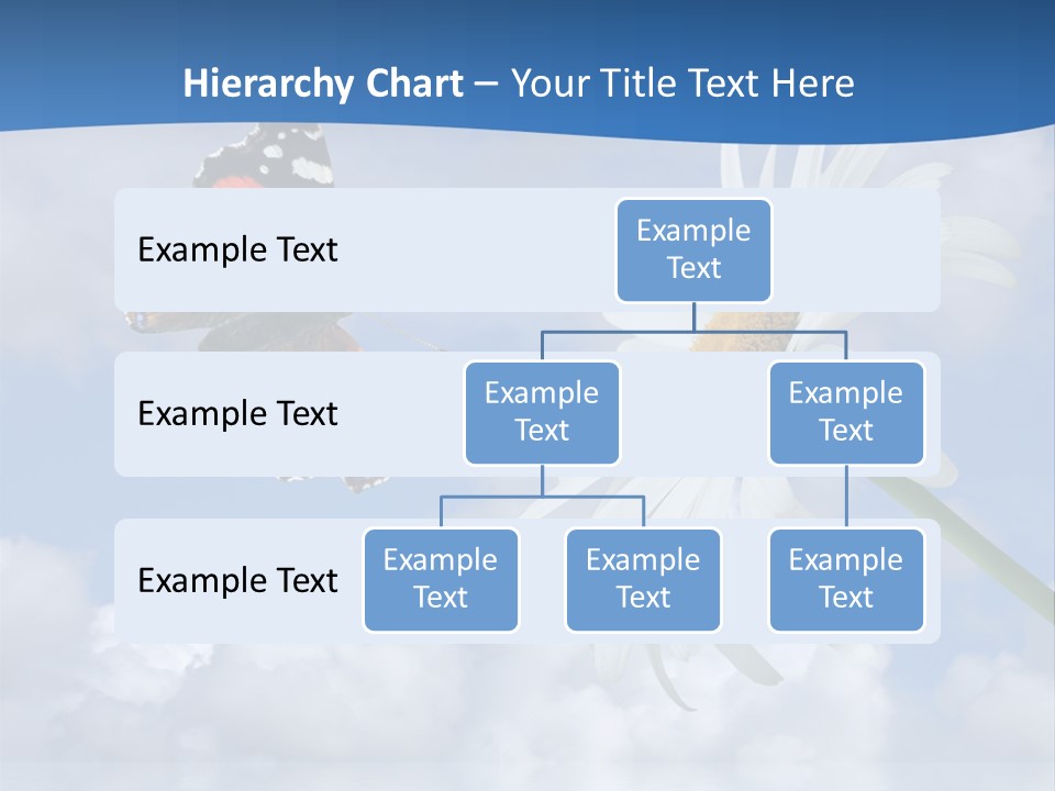 Chamomile And Butterfly On A Background Of The Cloudy Sky. PowerPoint Template