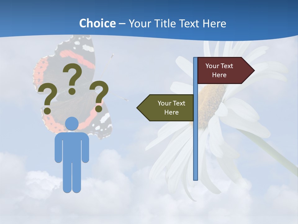 Chamomile And Butterfly On A Background Of The Cloudy Sky. PowerPoint Template