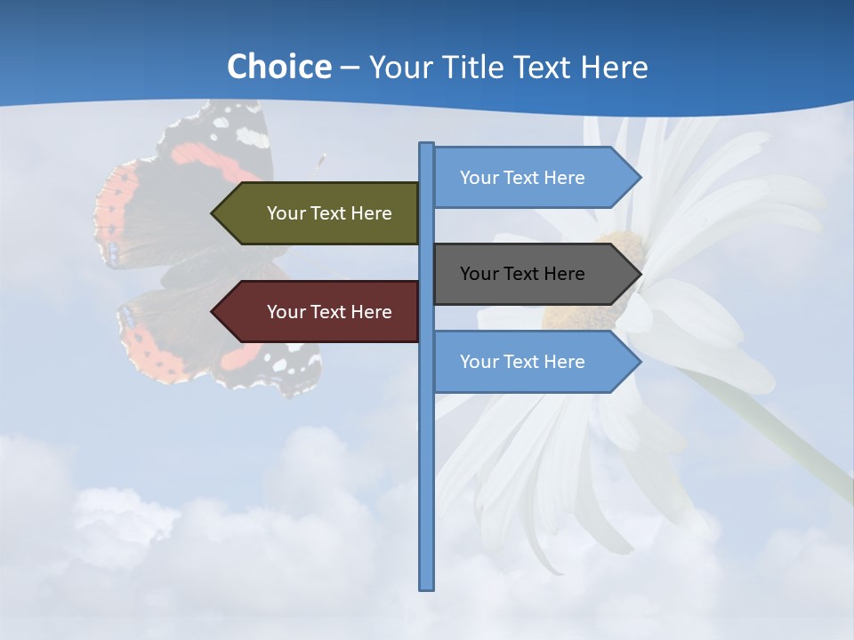 Chamomile And Butterfly On A Background Of The Cloudy Sky. PowerPoint Template