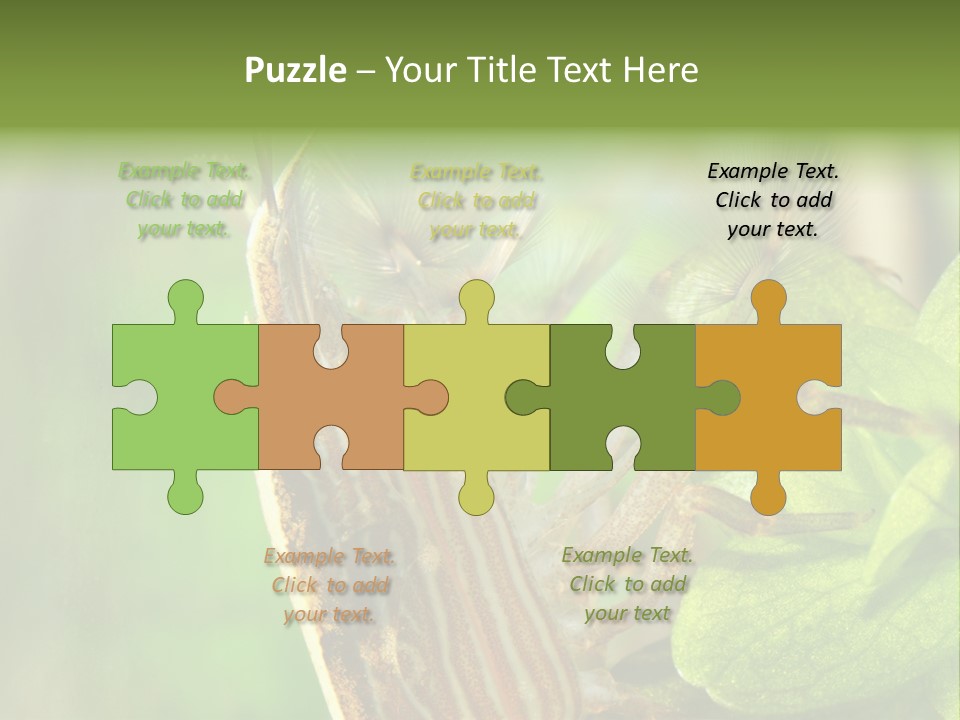 Cleaner Shrimp Close-Up Shot In Aquarium PowerPoint Template