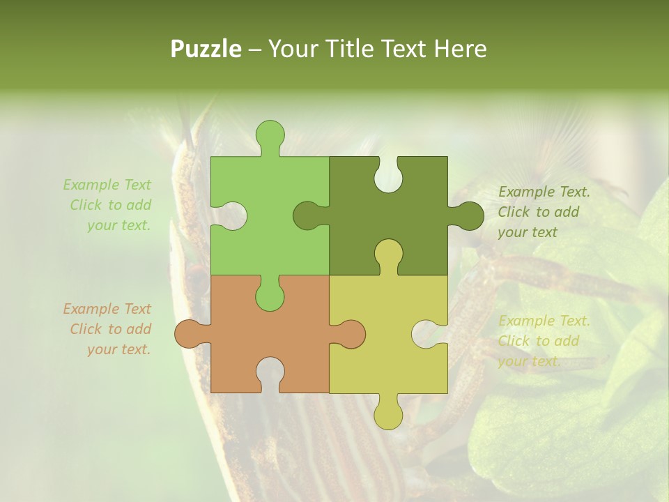 Cleaner Shrimp Close-Up Shot In Aquarium PowerPoint Template