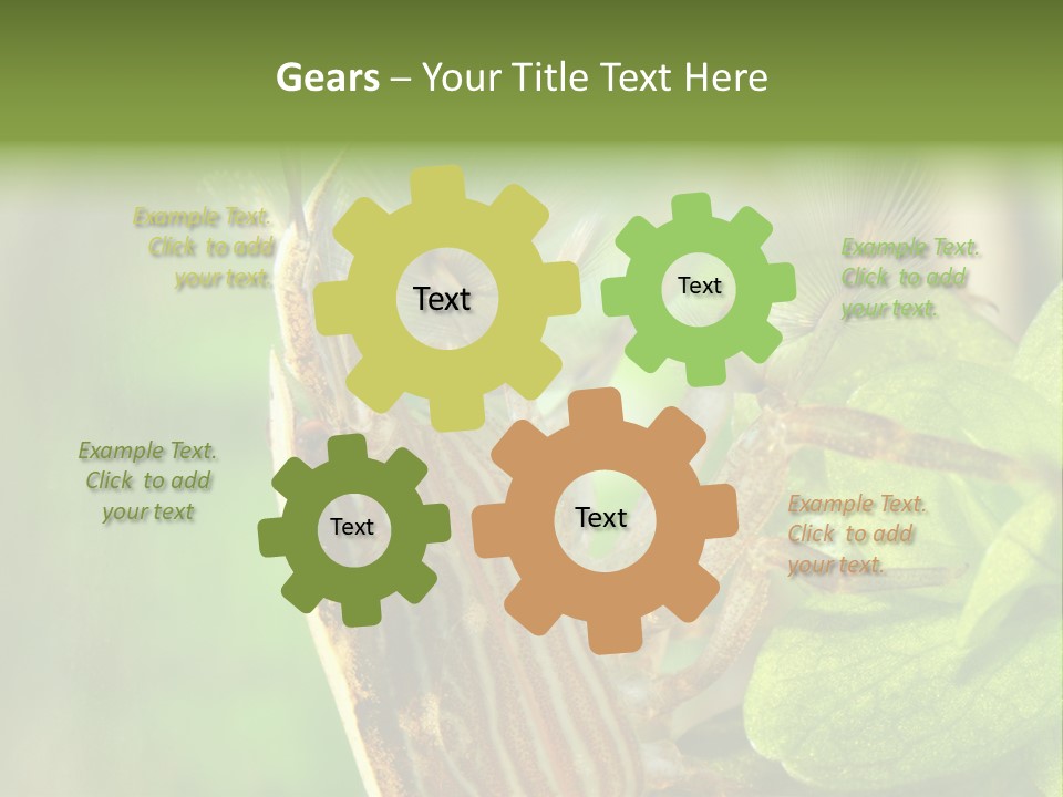 Cleaner Shrimp Close-Up Shot In Aquarium PowerPoint Template