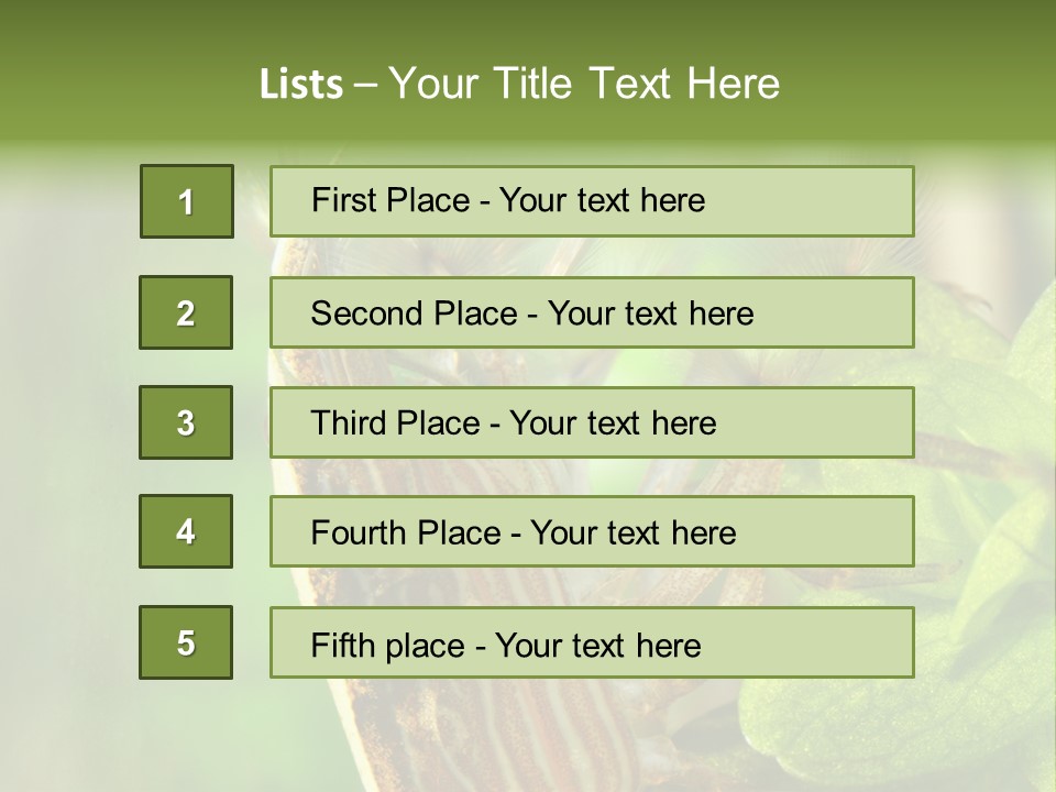 Cleaner Shrimp Close-Up Shot In Aquarium PowerPoint Template