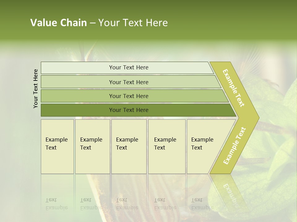 Cleaner Shrimp Close-Up Shot In Aquarium PowerPoint Template