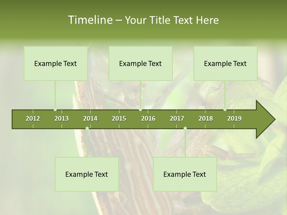 Cleaner Shrimp Close-Up Shot In Aquarium PowerPoint Template