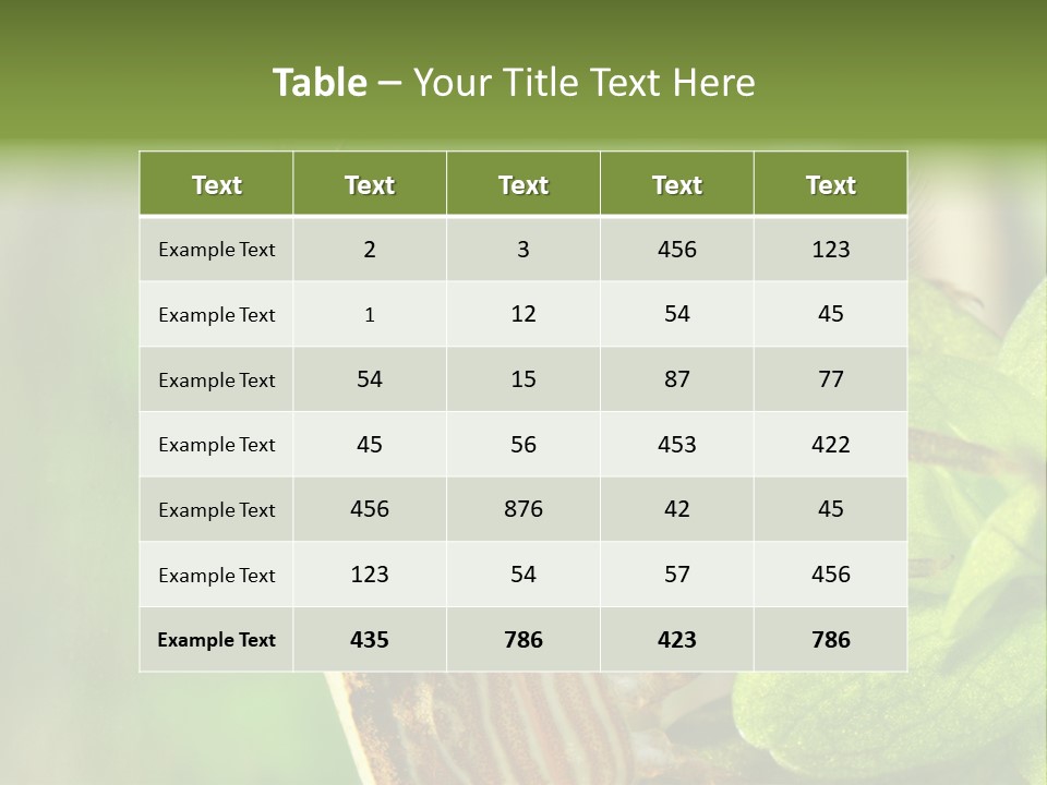 Cleaner Shrimp Close-Up Shot In Aquarium PowerPoint Template