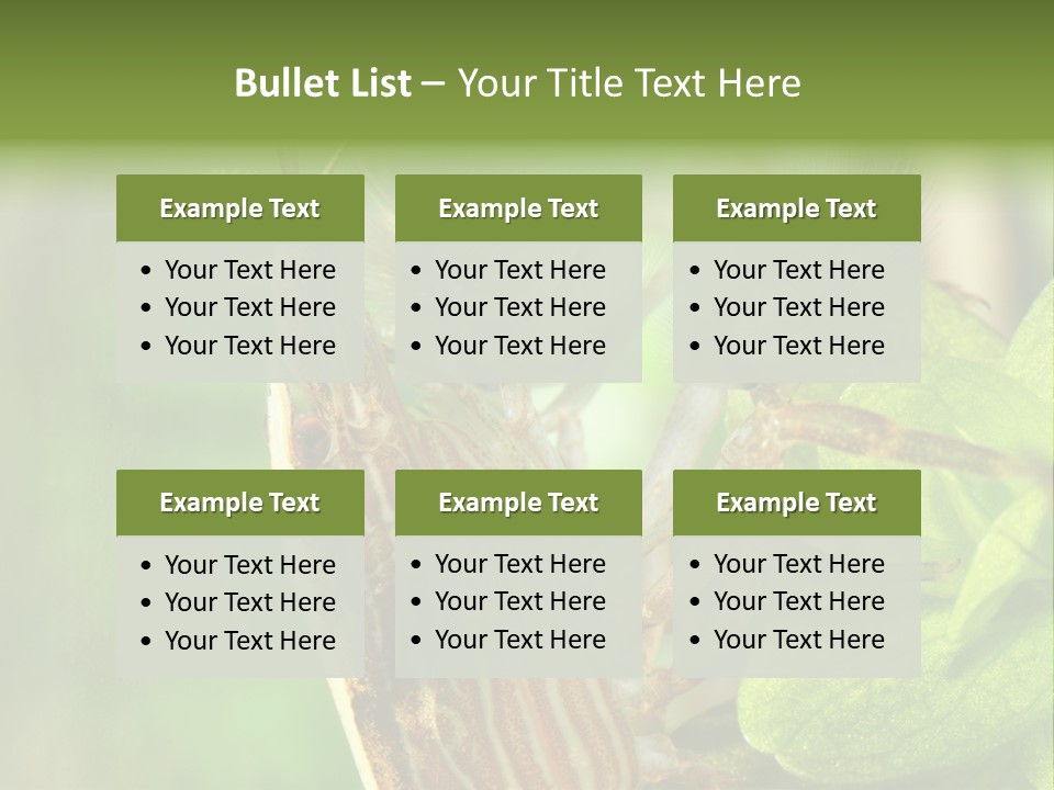 Cleaner Shrimp Close-Up Shot In Aquarium PowerPoint Template