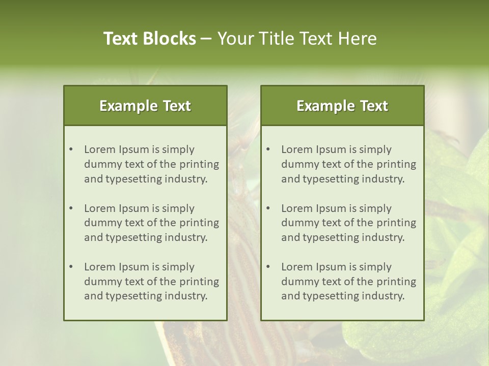 Cleaner Shrimp Close-Up Shot In Aquarium PowerPoint Template