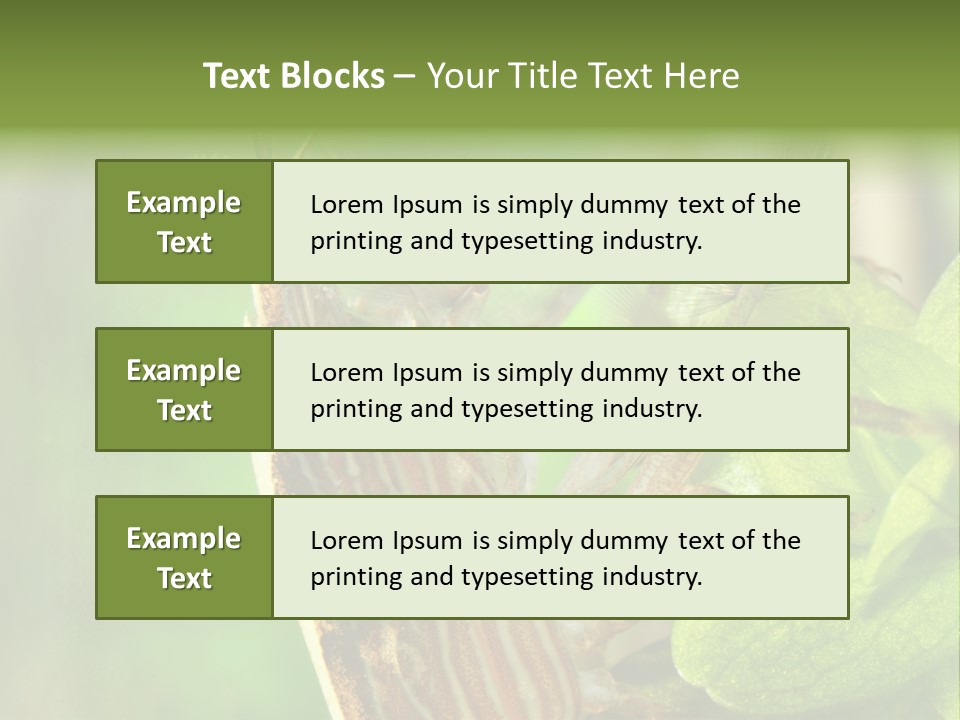 Cleaner Shrimp Close-Up Shot In Aquarium PowerPoint Template