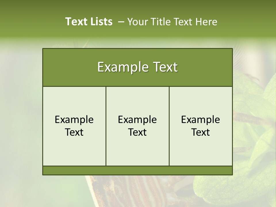 Cleaner Shrimp Close-Up Shot In Aquarium PowerPoint Template