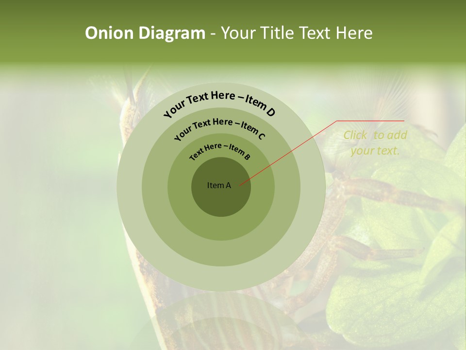 Cleaner Shrimp Close-Up Shot In Aquarium PowerPoint Template