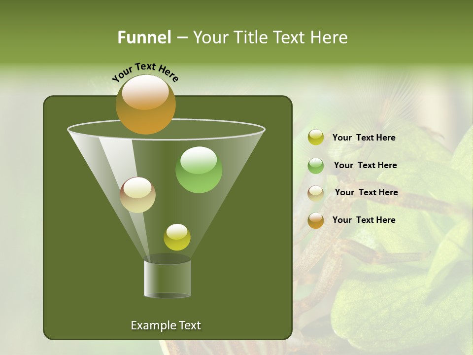 Cleaner Shrimp Close-Up Shot In Aquarium PowerPoint Template