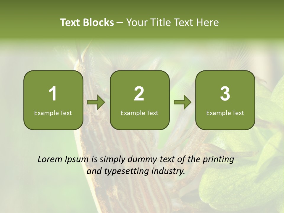 Cleaner Shrimp Close-Up Shot In Aquarium PowerPoint Template