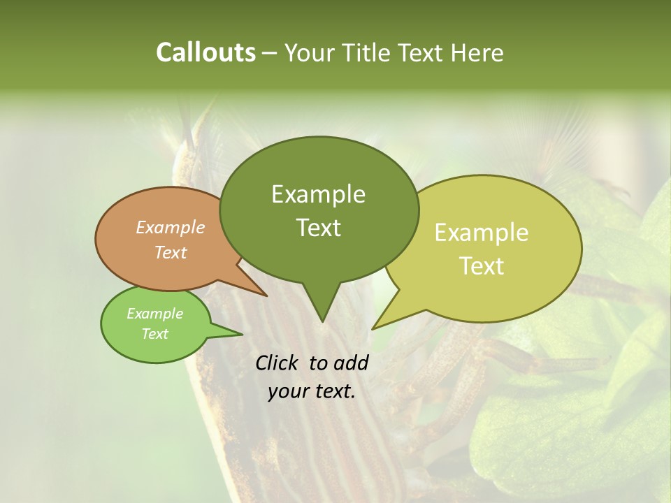 Cleaner Shrimp Close-Up Shot In Aquarium PowerPoint Template