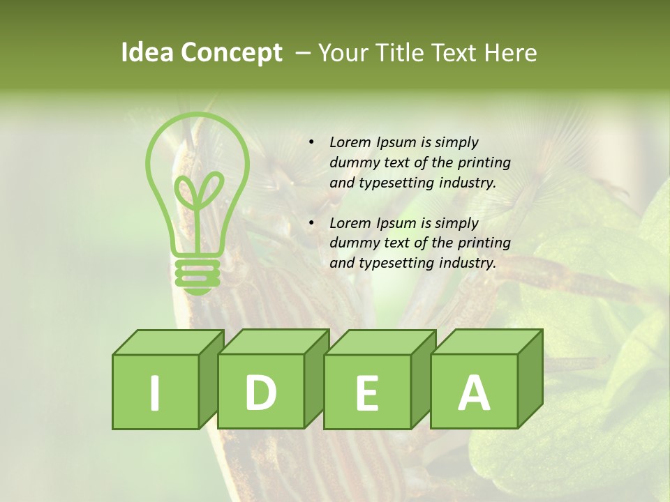 Cleaner Shrimp Close-Up Shot In Aquarium PowerPoint Template