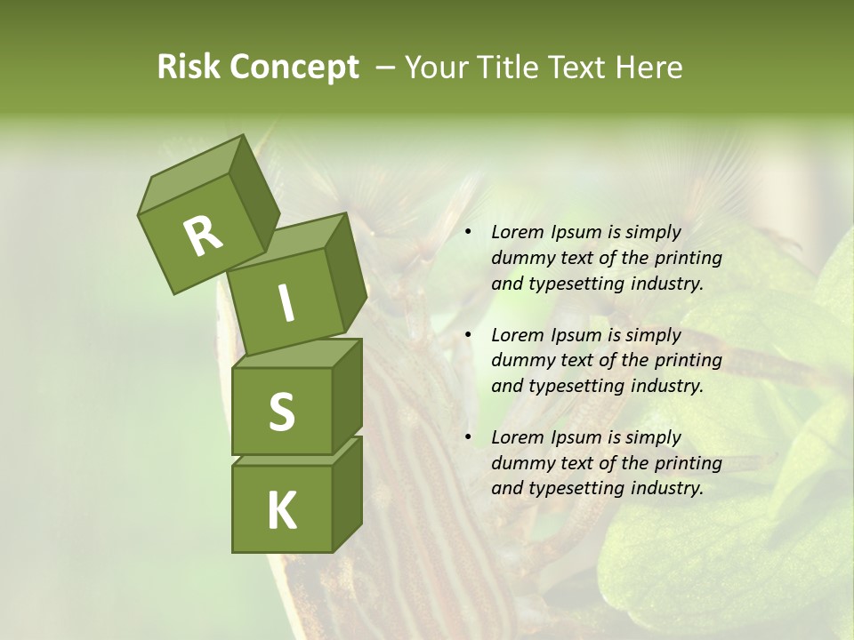 Cleaner Shrimp Close-Up Shot In Aquarium PowerPoint Template