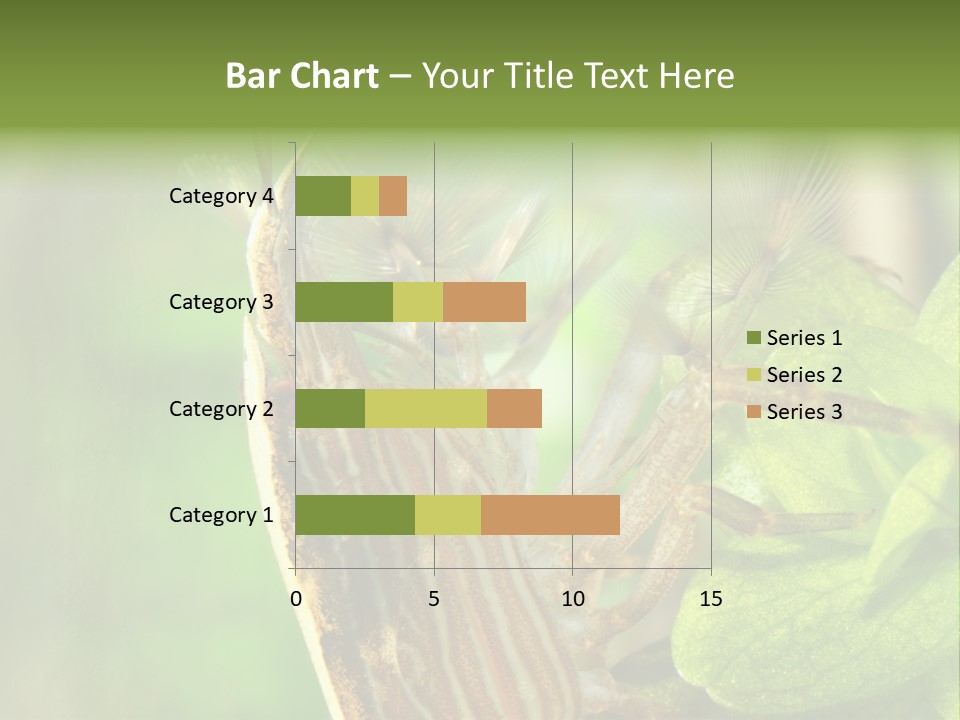 Cleaner Shrimp Close-Up Shot In Aquarium PowerPoint Template