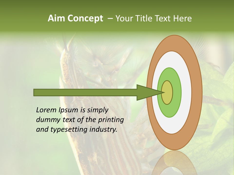 Cleaner Shrimp Close-Up Shot In Aquarium PowerPoint Template