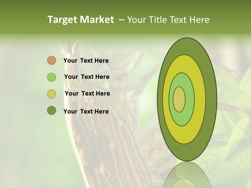 Cleaner Shrimp Close-Up Shot In Aquarium PowerPoint Template