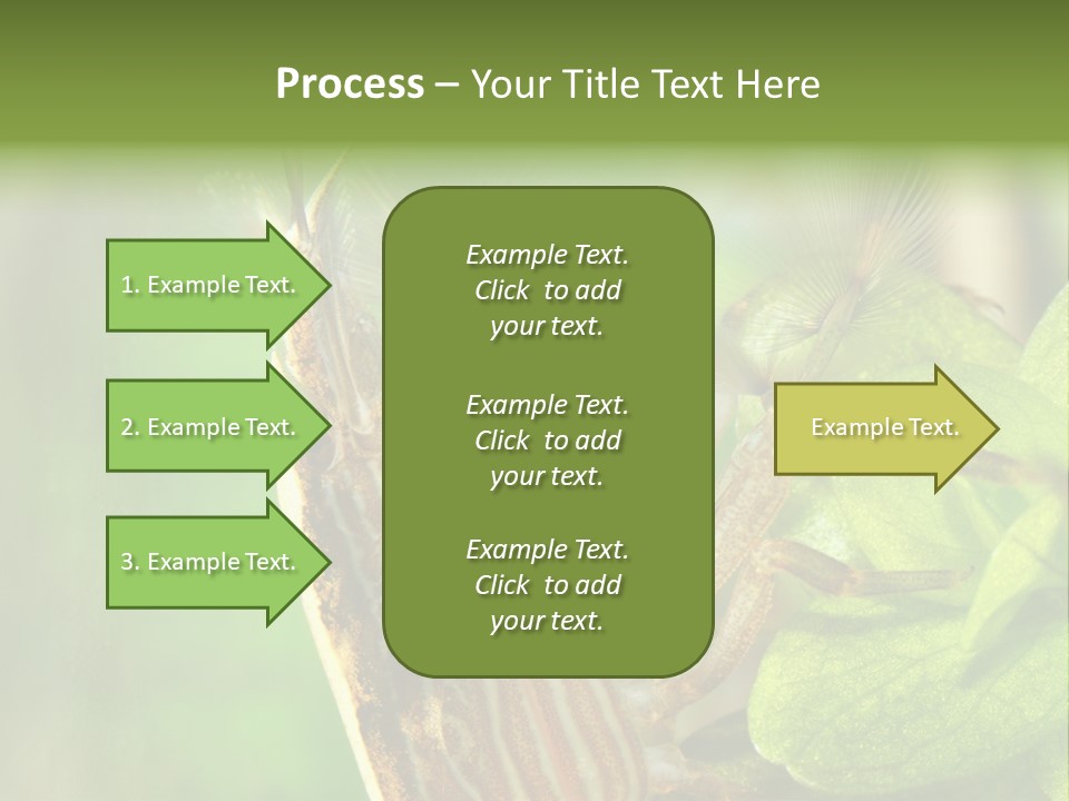 Cleaner Shrimp Close-Up Shot In Aquarium PowerPoint Template