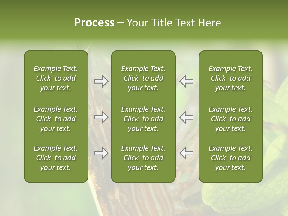 Cleaner Shrimp Close-Up Shot In Aquarium PowerPoint Template