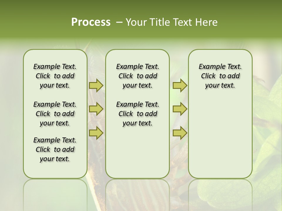 Cleaner Shrimp Close-Up Shot In Aquarium PowerPoint Template