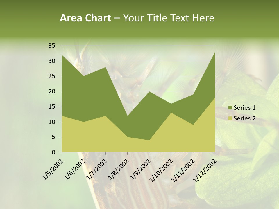 Cleaner Shrimp Close-Up Shot In Aquarium PowerPoint Template