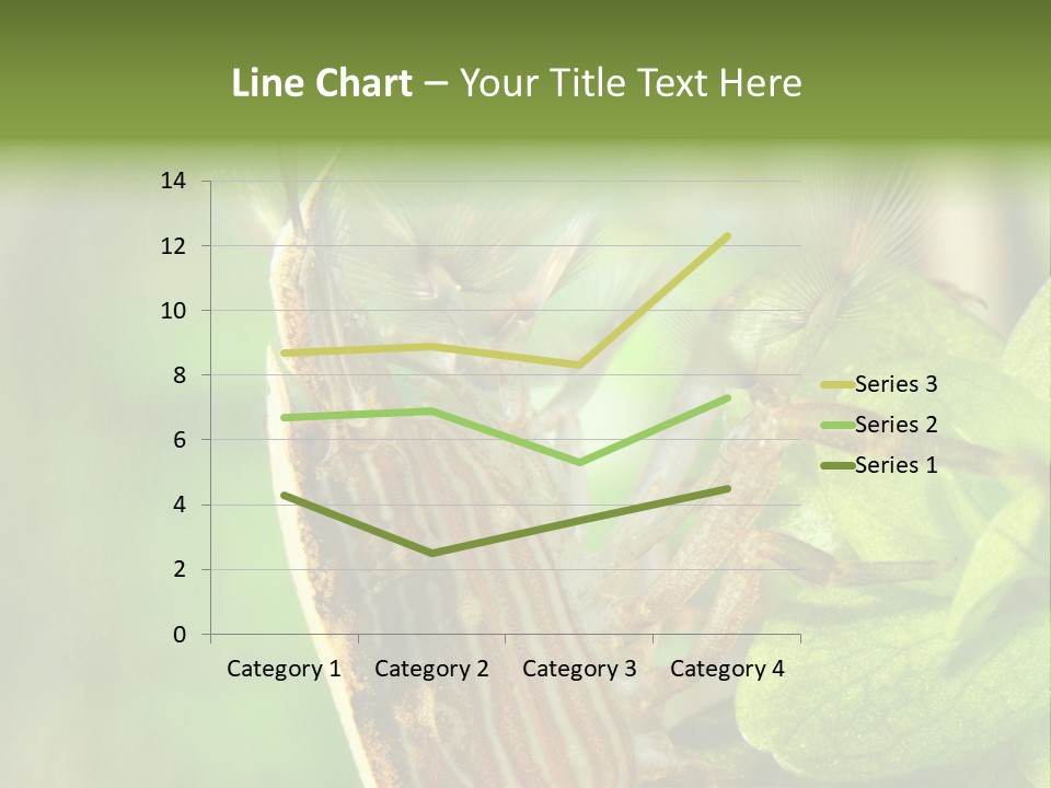 Cleaner Shrimp Close-Up Shot In Aquarium PowerPoint Template