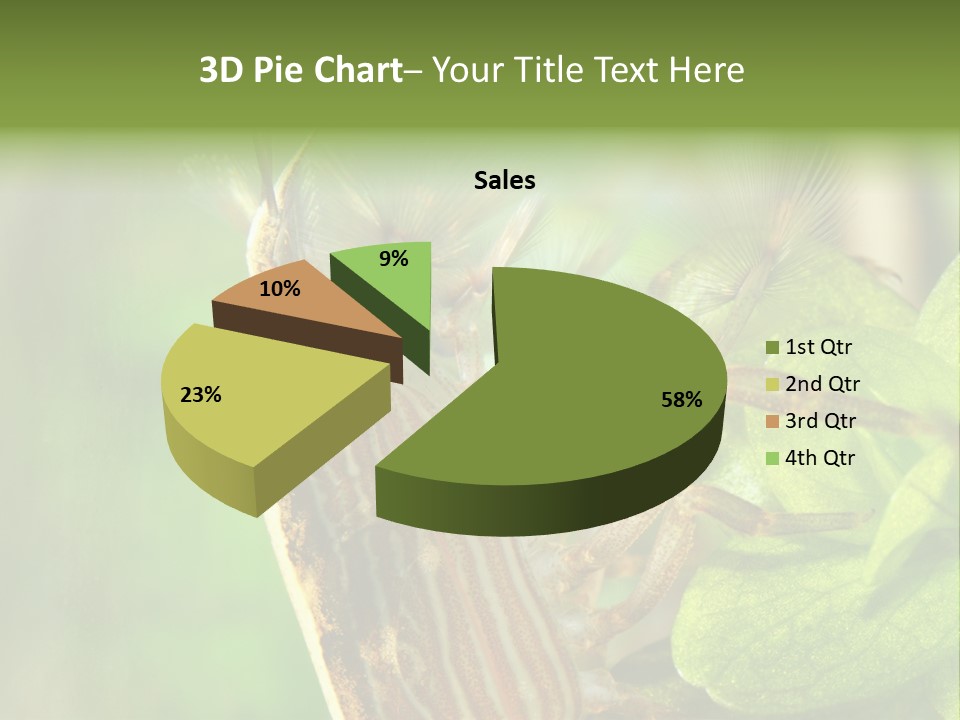 Cleaner Shrimp Close-Up Shot In Aquarium PowerPoint Template